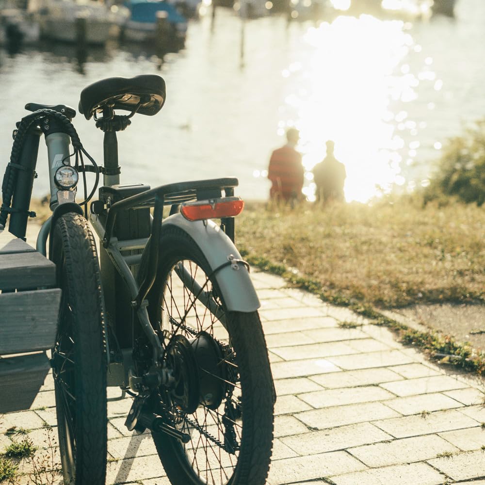 Fafrees Bicicletta elettrica F20 LIGHT, bici da città elettrica pieghevole da 20 pollici, motore da 250 W, batteria da 16,75 Ah, e-bike a 7 velocità per donna, autonomia 110 km