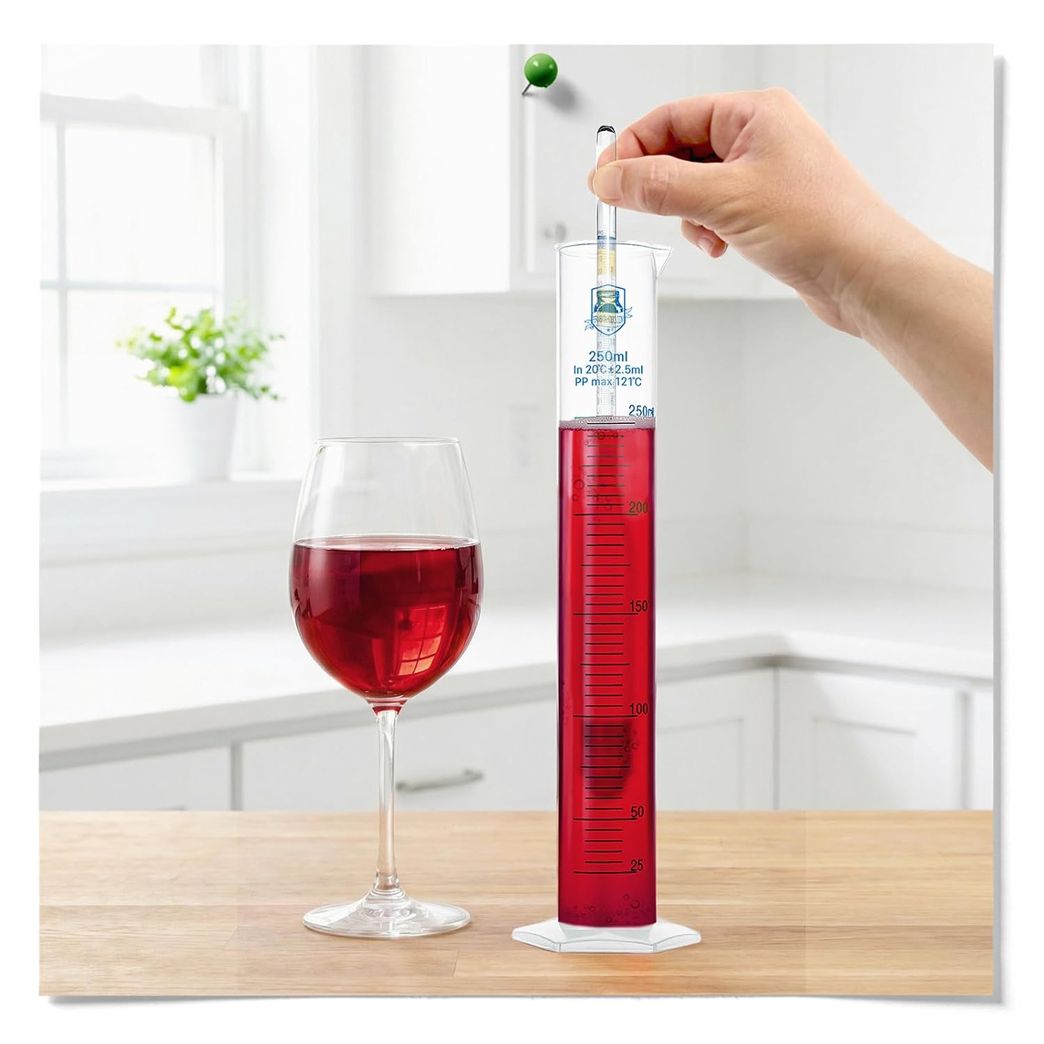 Fermentaholics Hydrometer Test Jar & Measuring Cylinder - Test Homebrewed Beer, Wine, Mead, Cider, & Fermented Beverages