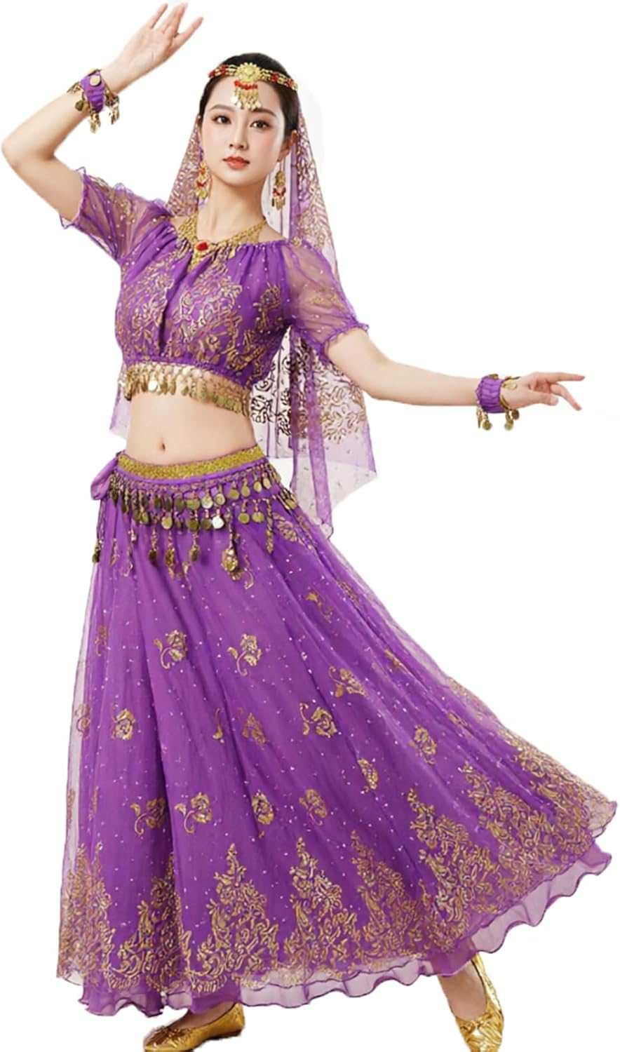 Bollywood costume alloween Belly dance crop top chiffon dance costume for women