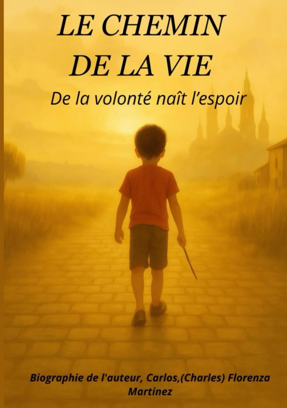 LE CHEMIN DE LA VIE: De la volonté naît l'espoir