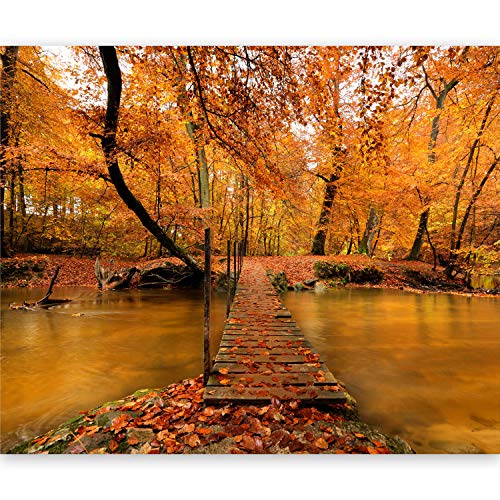 murando Fotomurales Bosque Naturaleza 200x154 cm XXL Papel pintado tejido no tejido Decoración de Pared decorativos Murales moderna de Diseno Fotográfico Paisaje - 100403-144