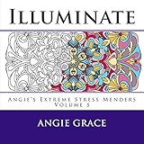 Illuminate (Angie's Extreme Stress Menders Volume 5) - Angie Grace 