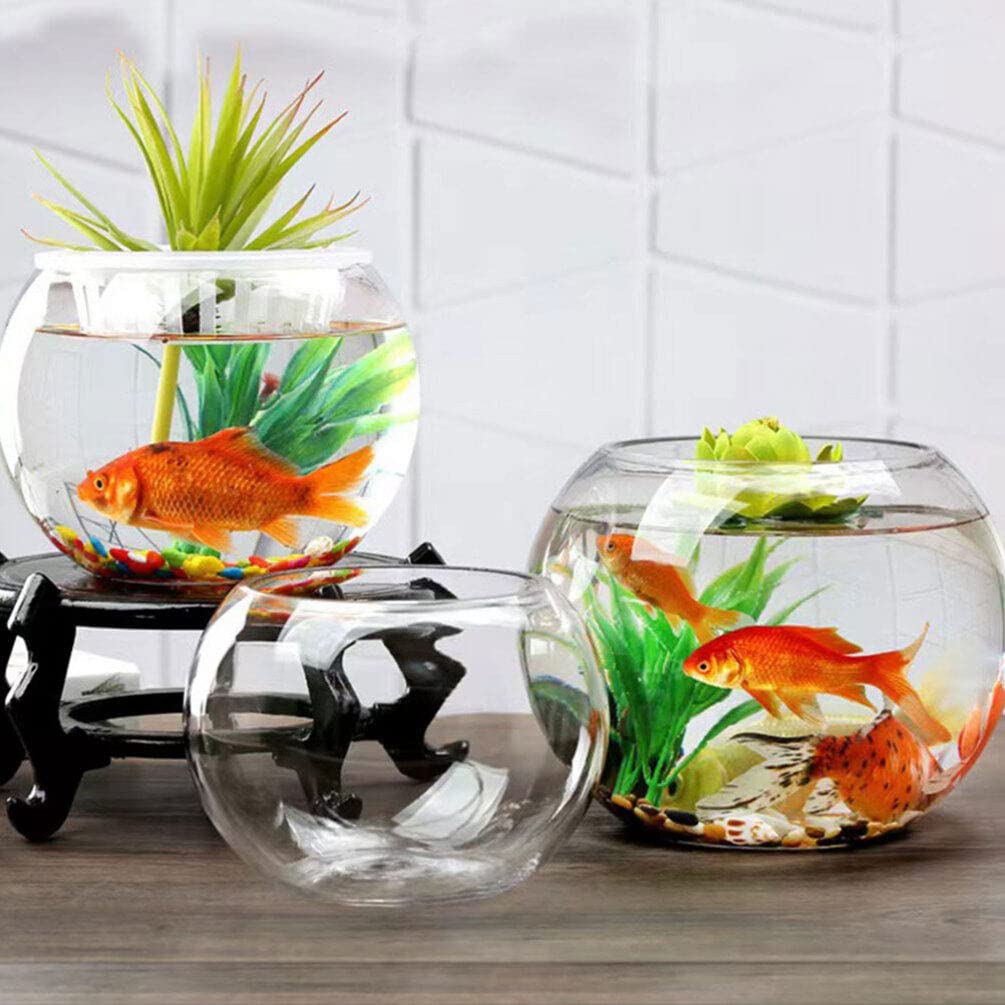 Terrariums de Réservoir de Poissons en Verre Récipient Transparent Décoration de Bureau Bol Rond Affichage Hydroponique Globe Bol Décoratif Poisson Rouge