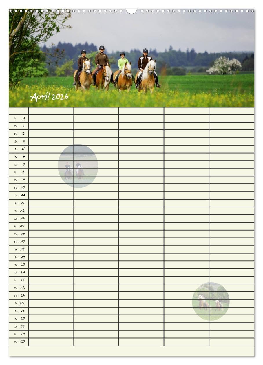 Haflinger Pferde - Stall- und Familienplaner 2026 (hochwertiger Premium Wandkalender 2026 DIN A2 hoch), Kunstdruck in Hochglanz: Stallplaner und ... Blick mit Haflinger Pferden (CALVENDO Tiere)