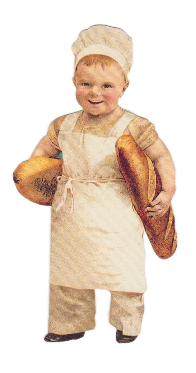 Amazon | パンチスタジオ punch studio スモール グリーティング