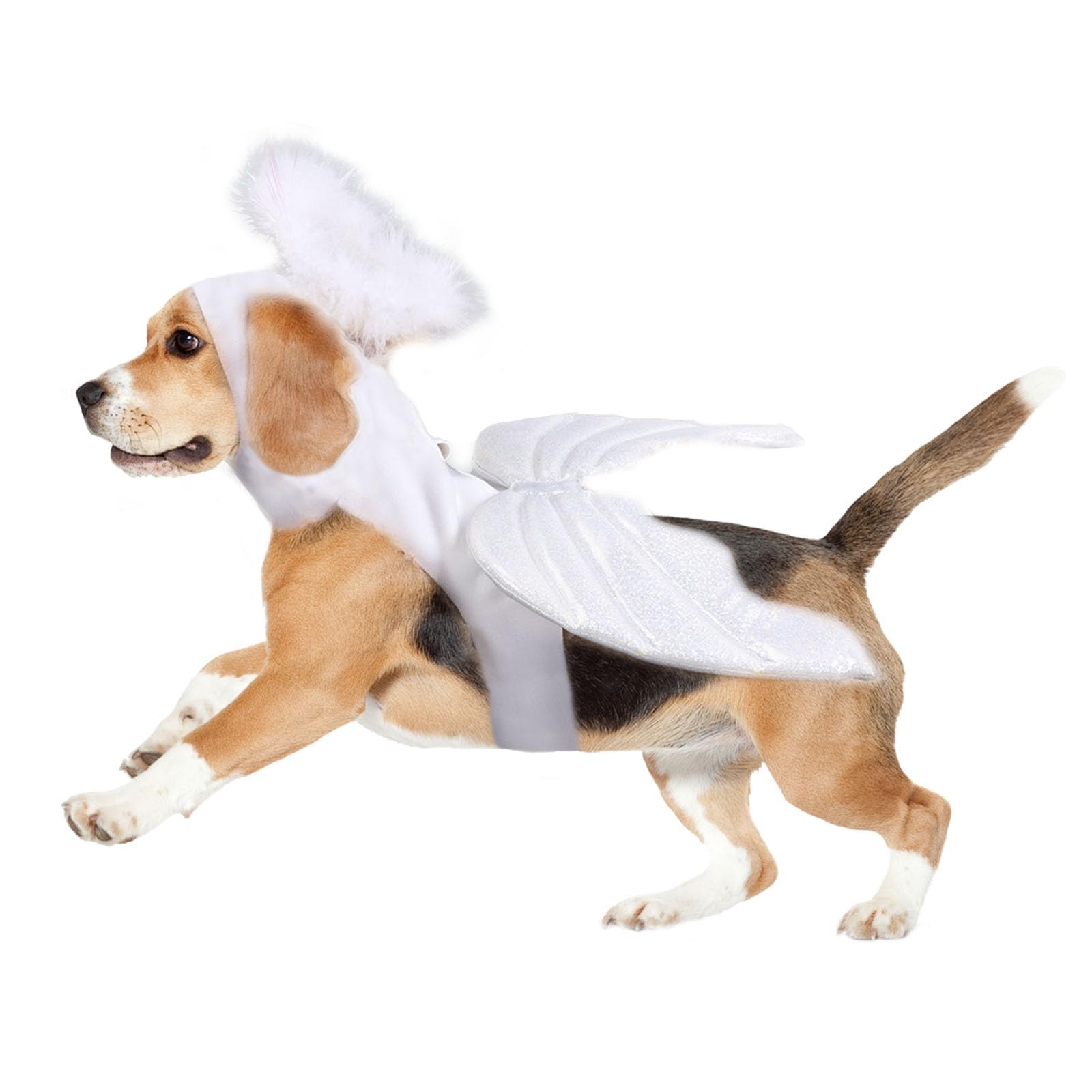 BT Bear Halloween Pet Costume