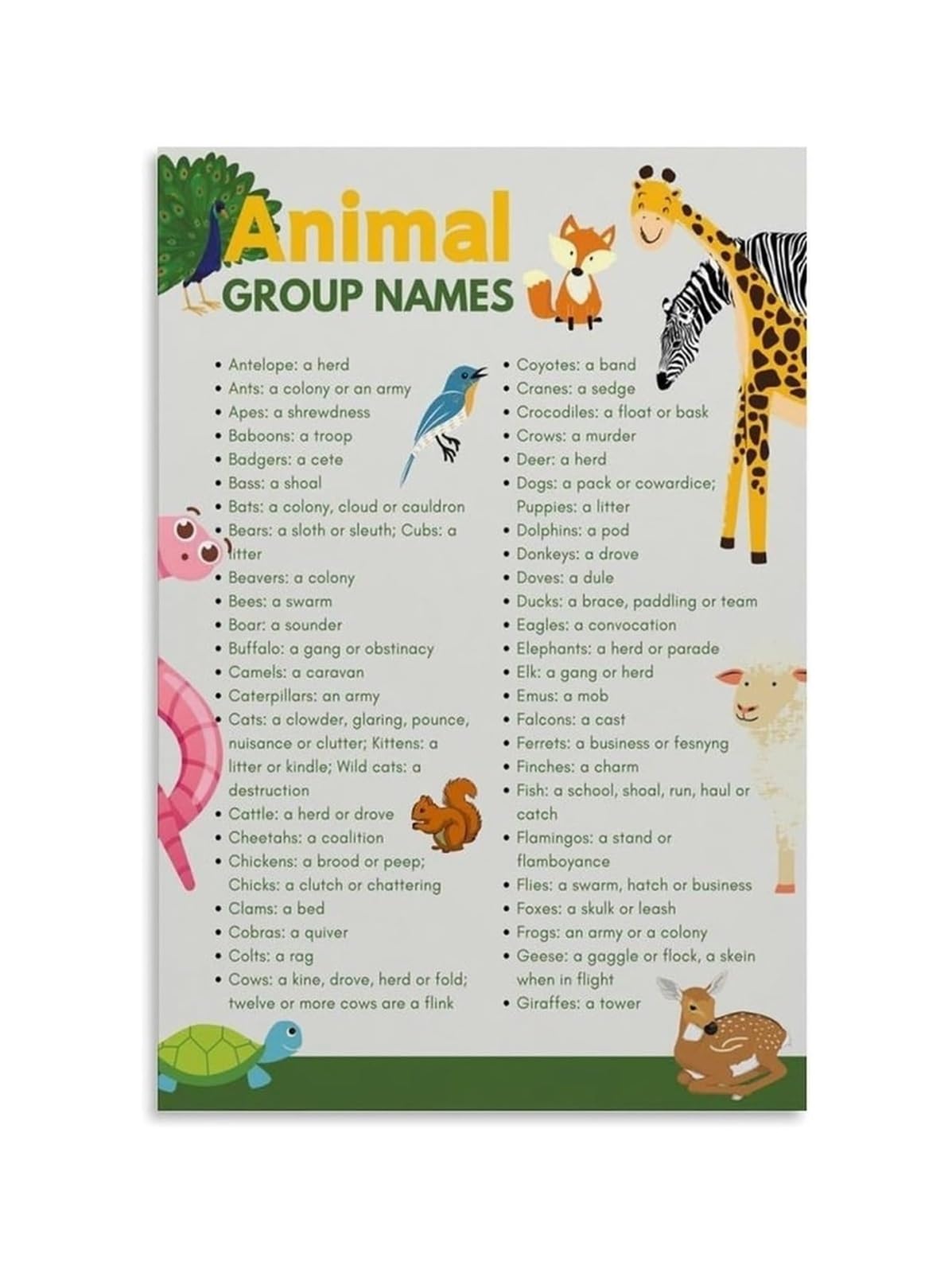 QMIQXIWS Animal Group Terminology Educational - Collective Nouns Chart for Classroom Decor, Teaching and Learning at Home(Unframed,08x12inch(20x30cm))