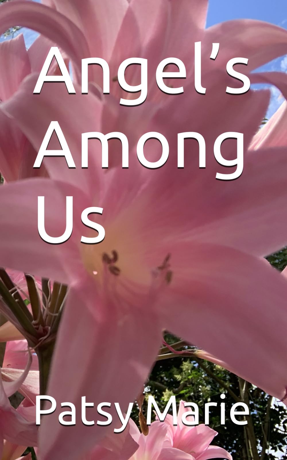 Angel’s Among Us