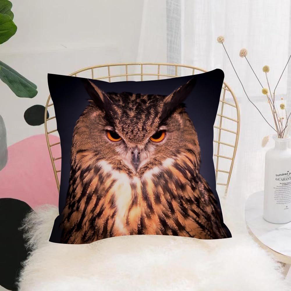 HYOSXW Cushion Cover,Throw Pillow Case Home Decorative for Living Room Bedroom Sofa Chair 16X16 Inch,Blue Owl, a sharp-looking image under the dark curtain,Pillowcase 40X40cm