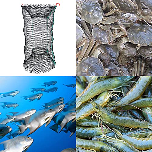 Crab Trap Bait Floats Lobster Crawfish Shrimp Portable Folded Cast Net Collapsible Fishing Traps Nets Fishing Accessories 11.8in x 23.6in (30cm x 60cm) (Green) - Thumbnail 6