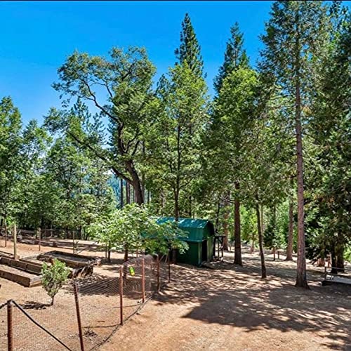 Episode 2 - Stuck at Home with selling our house