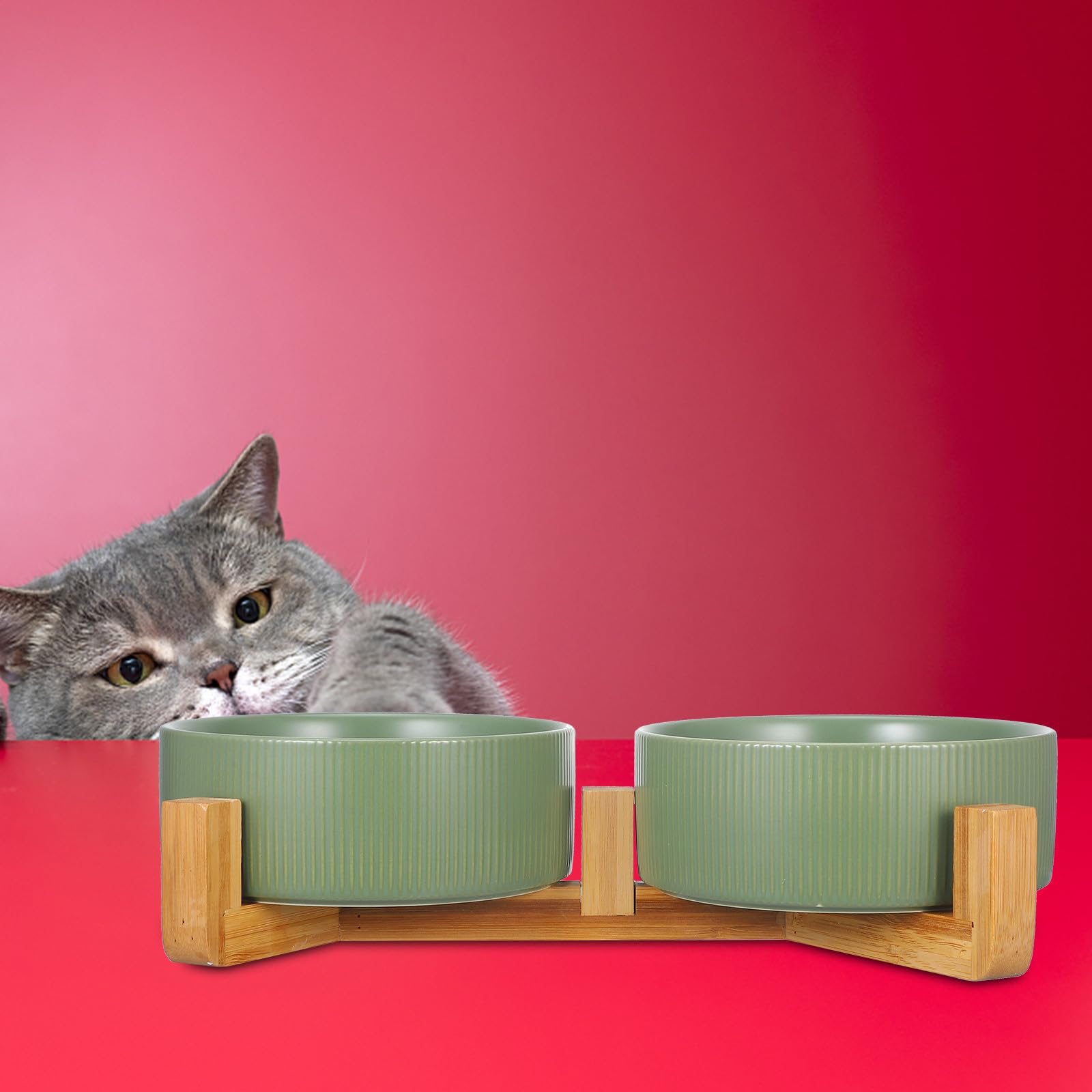 Ciotole per Cani Rialzate in Ceramica con Supporto in Legno, Doppia Ciotola Rotonda, Anti-ribaltamento, per Cibo e Acqua, Uso Domestico, per Cani e Gatti