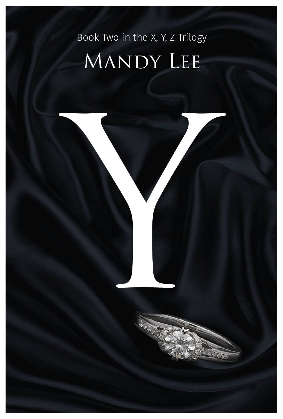 Y (X, Y, Z Trilogy Book 2)