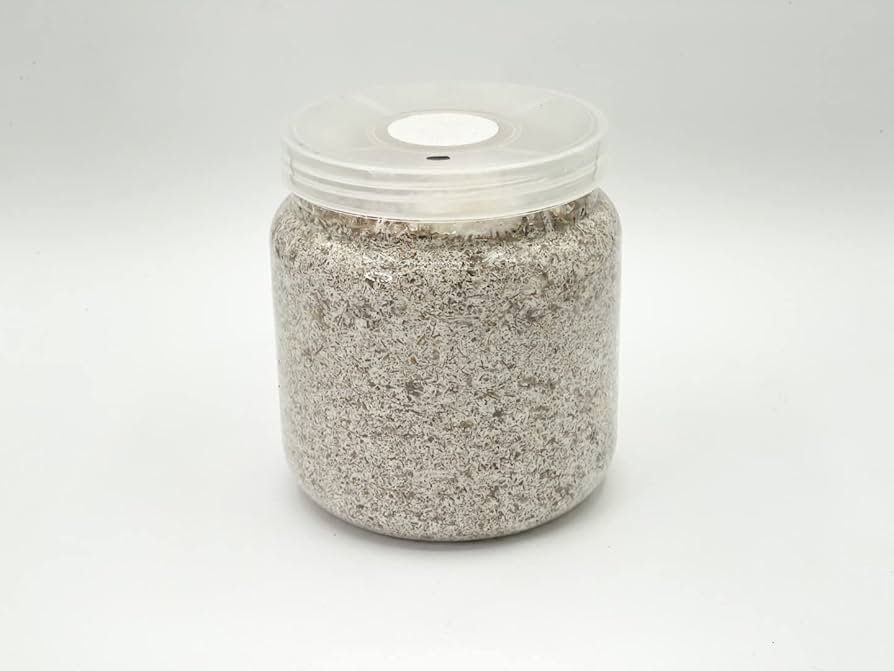 菌糸ボトル作成セット 51zWk2UjyHL.jpg