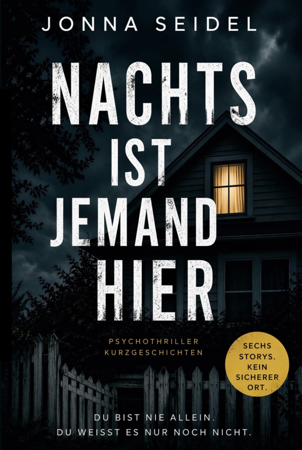 Nachts ist jemand hier: Sechs Psychothriller-Kurzgeschichten