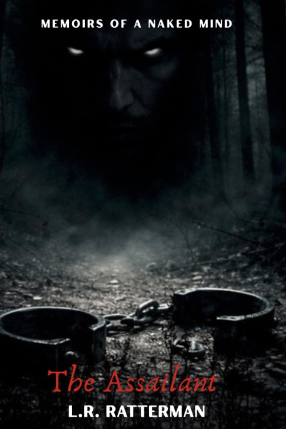 Memoirs Of A Naked Mind: The Assailant