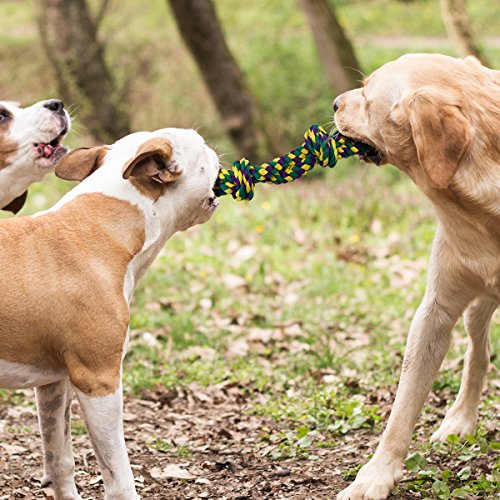 RIO Direct Hundespielzeug aus Seil für starke Hunde, große Hunde, stabil, mit 3 Knoten, robustes Kauspielzeug – extra langlebig – fast unzerstörbar – waschbar, für große Hunderassen.