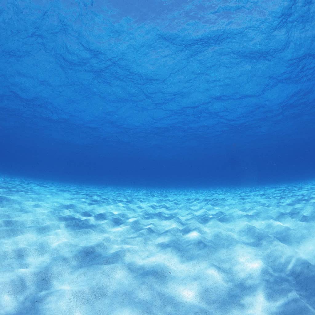 Coperta In Pile Di Pelliccia Sintetica Per Divano E Letto, Paesaggio Del Fondale Marino Blu Stampata Coperta Matrimoniale Invernale Di Flanella 150X200Cm Morbida, Calda E Accogliente, Fluffy