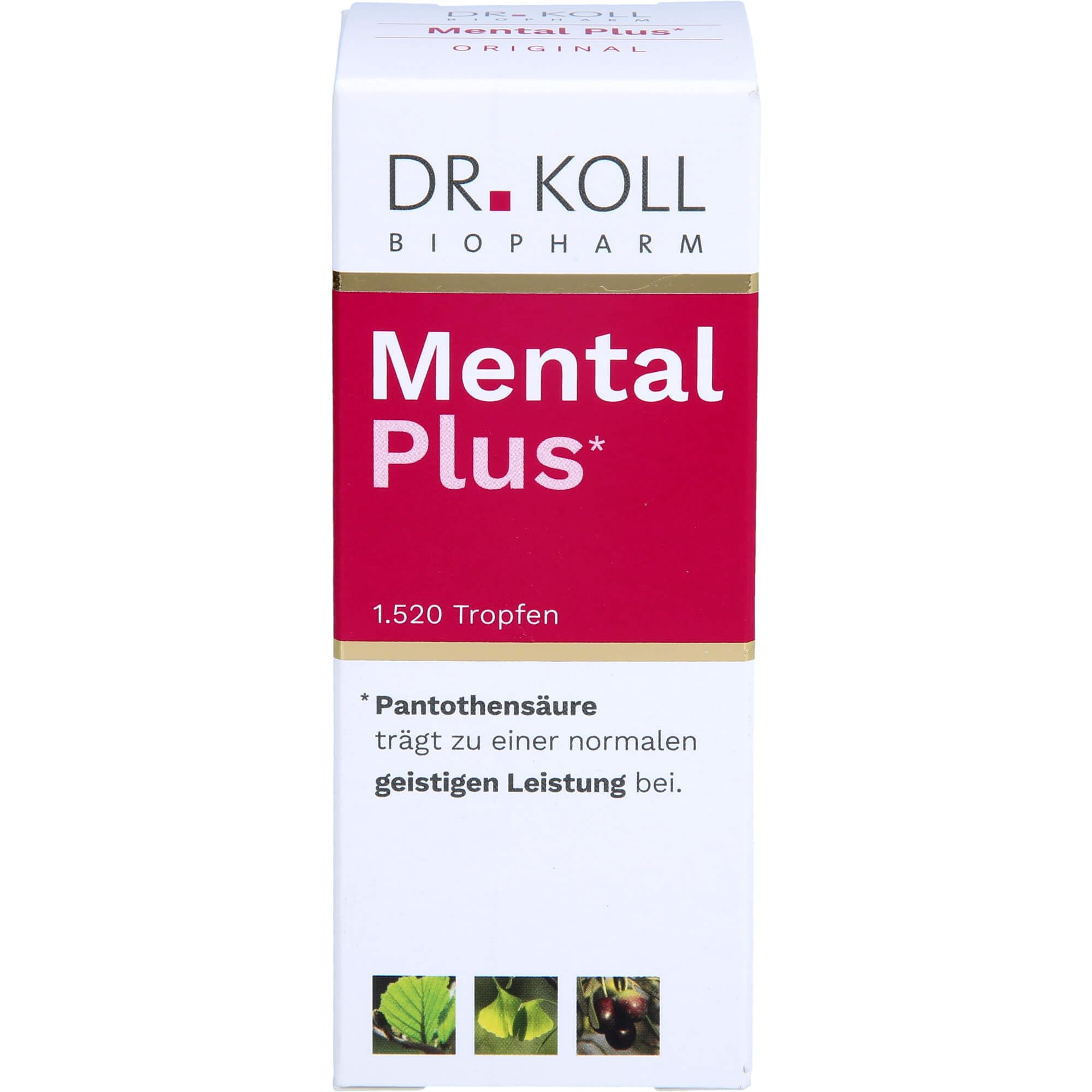 Dr. Koll Mental Plus Tropfen tragen zu einer normalen geistigen Leistung bei, 50 ml Tropfen