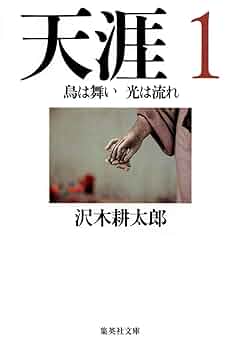天涯 三部作セット（全て初版）：沢木 耕太郎 天涯〈第1〉鳥は舞い 光は流れ (SWITCH LIBRARY) | 沢木 耕太郎