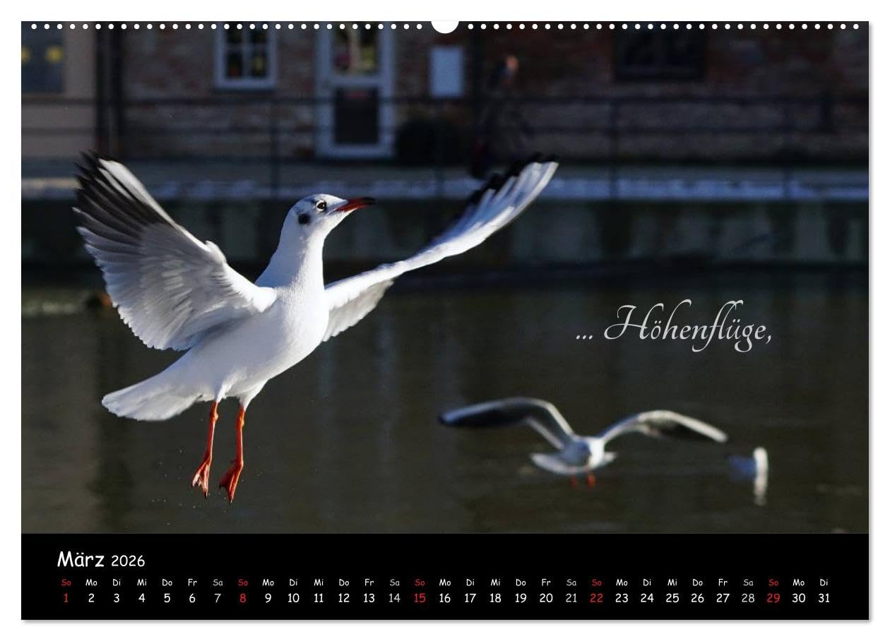 Gut gelaunt durch's Rentenjahr (Wandkalender 2026 DIN A2 quer), CALVENDO Monatskalender: Mit lustigen Motiven durch den Ruhestand (CALVENDO Menschen)