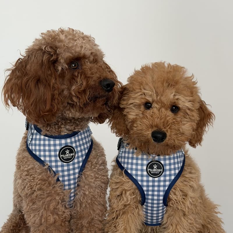 Arnés M Vaquero para Perro Ajustable de Neopreno - Diseño Vichy - 4 Tallas - Arnés Cómodo y Resistente para Perros