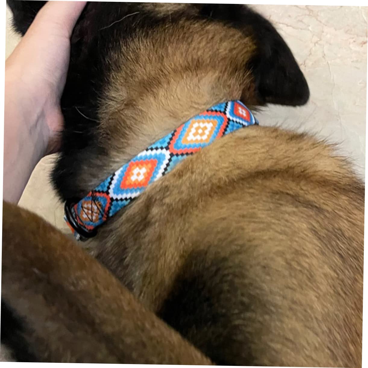 Mipcase 12stücke Verstellbare Katzenhalsbänder Mit Glöckchen Bohemian Stil Leicht Und Komfortabel Für Kätzchen Und Kleine Hunde Für Feste Und Alltag Verschiedene Designs