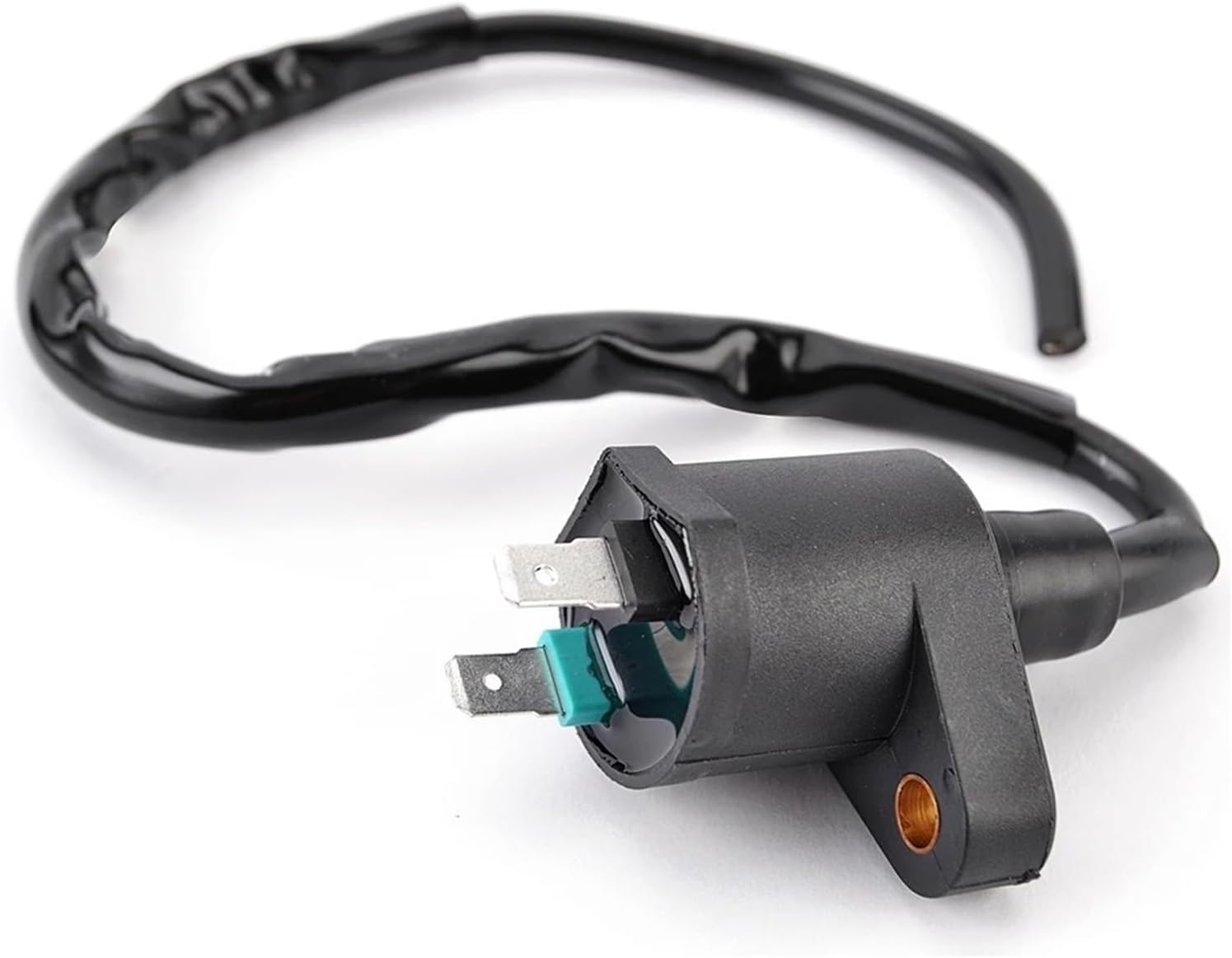 ▪️23-129▪️ クリスマスローズ 株分け 大木ナーセリー R7-11