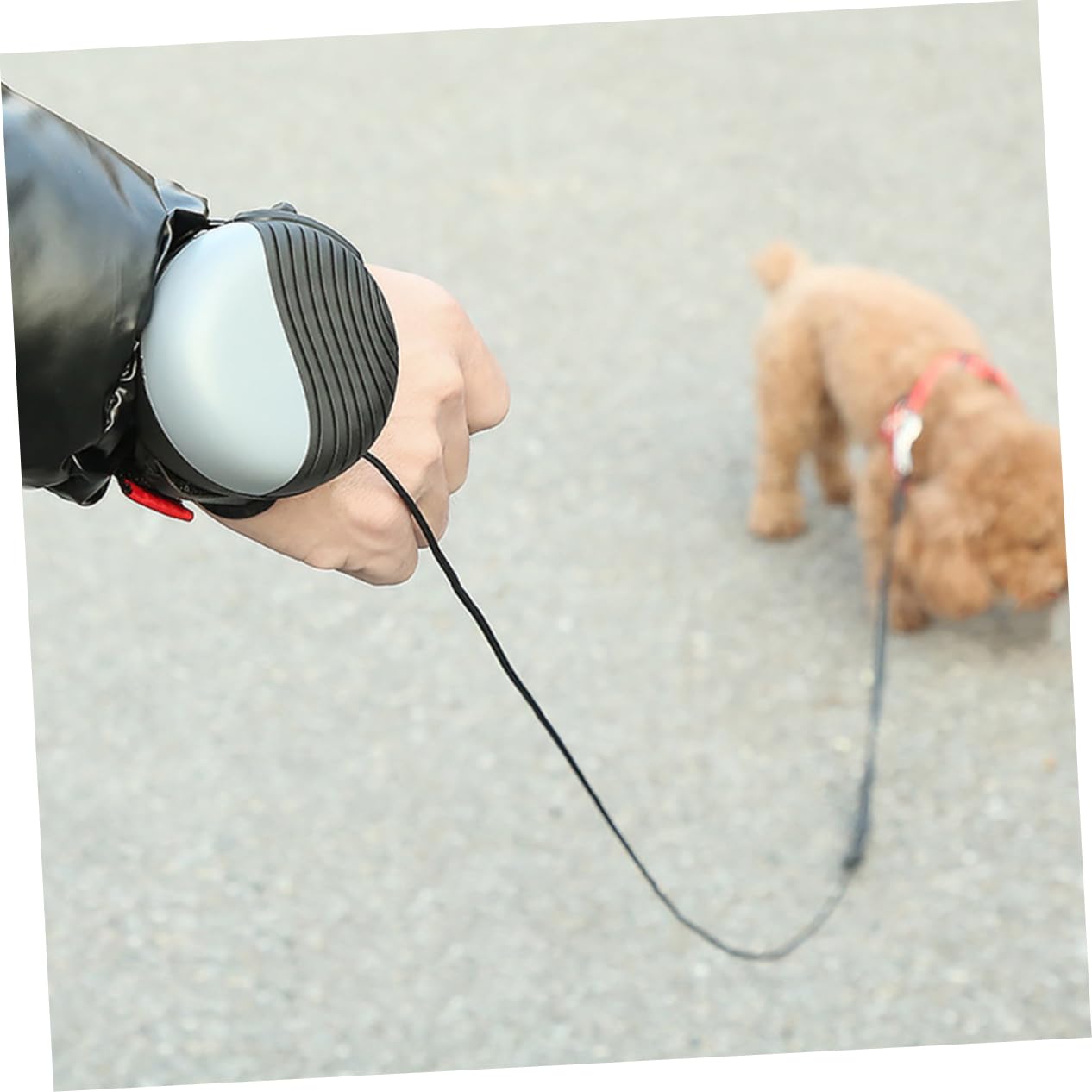 Mikikit 1pc Nylon Dog Rope Hands Reflective Dog Rope Training Leashes Leash Harness for Pets Padded Harness Pull Tow Strap Pet Traction Strap Grey