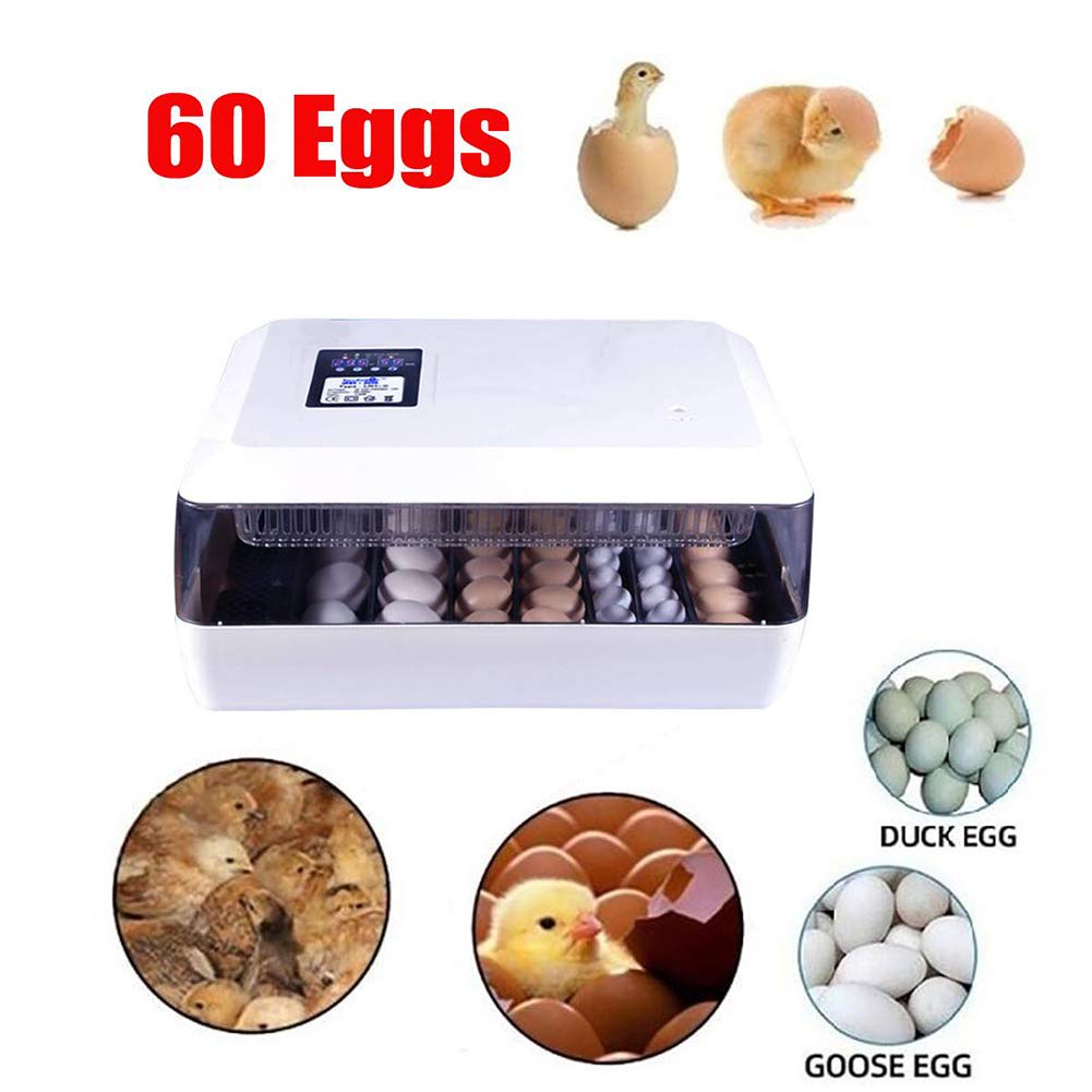 Las mejores incubadoras de regalo para niños, 60 huevos, volteador automático, incubadora de aves de corral, máquina criadora con control de termostato comercial digital, para incubar pollos, patos