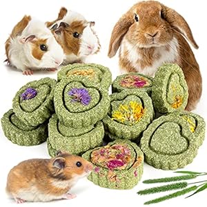 Sofier 12Pcs Timothy Hay Treats Rabbit Toys Bunny Toys Guinea Pig Toys Natural Chews for Teeth Handmade Rabbit Chews and Treats Chinchilla Rat Hamster Gerbil