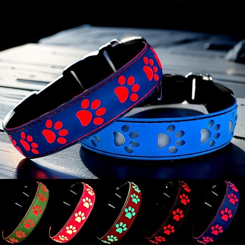Miniatura 31 de Collar LED para perro, 15 modos de luz, USB-C recargable, silicona ajustable, varios colores (negro, M (11.8-15.7 pulgadas)