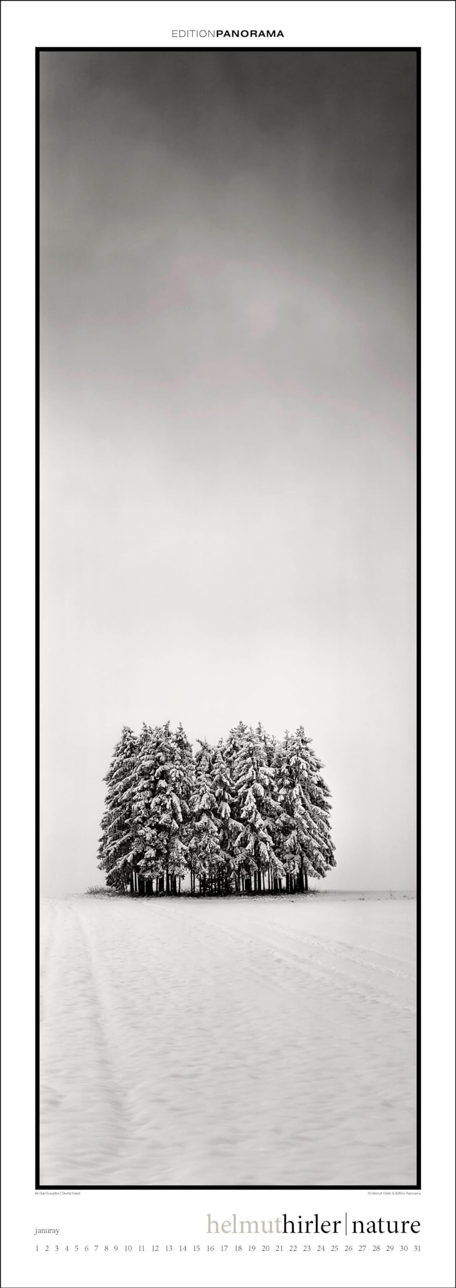Nature: Immerwährender Vertikal-Kalender, 40 x 110 cm