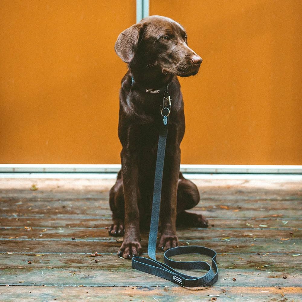 Amazon | Wilderdog 防水犬用首輪 - 水や汚れをはじく - ミディアム