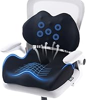 Lexeme Extra Large Memory Foam Seat Cushion & Lumbar Support Pillow - Sciatica Tailbone Relief for Office Chair Car Wheelchair