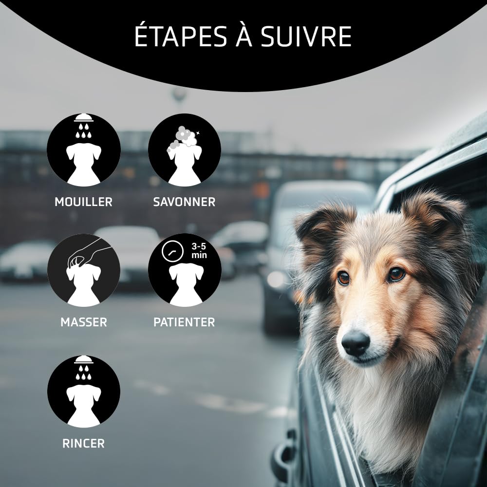 Artero Detox Shampooing pour chiens et chats de ville, nettoyage en profondeur anti-pollution au charbon actif, contrôle des odeurs et brillance naturelle, élimine la saleté, le pelage propre et