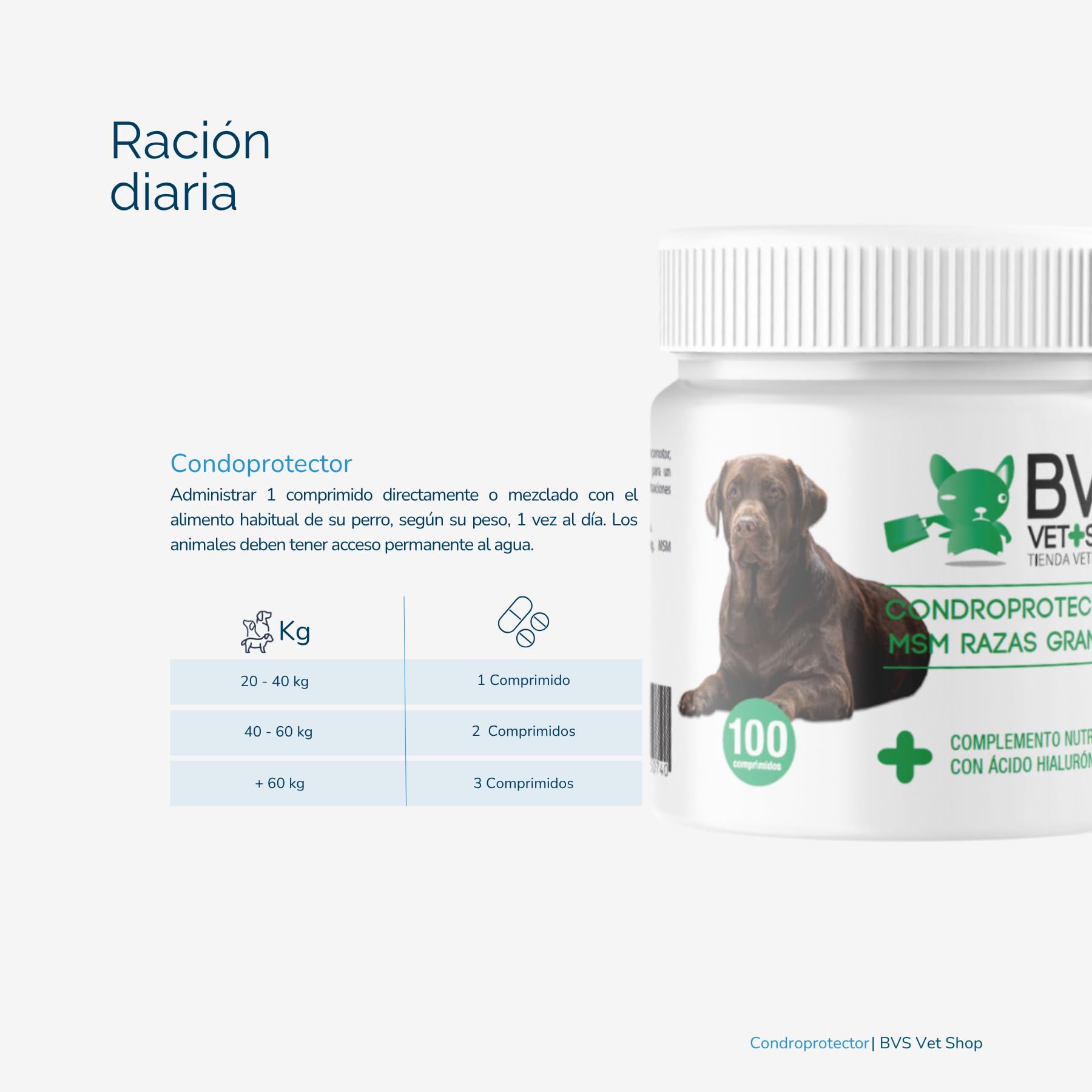 Condroprotector Razas Grandes MSM para Perros 150 Comprimidos