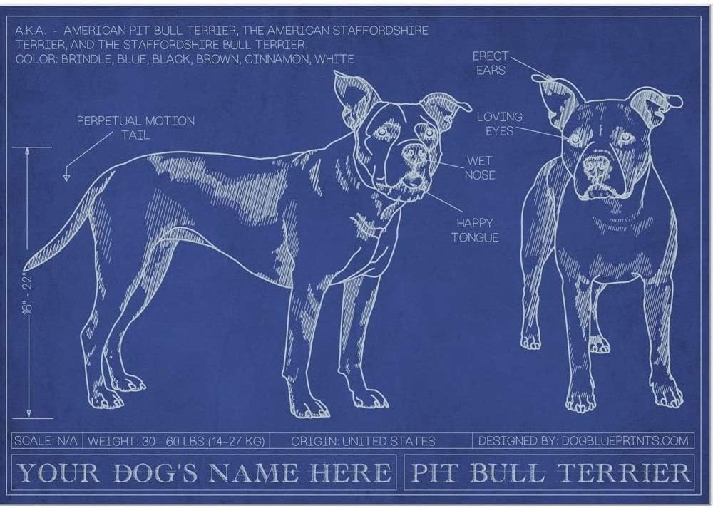 Pit Bull Blueprint with Personalized Dog Name - Indoor Dog House Decor, Gift for Dog Lovers, Dog Gift, Artwork Print for Bedroom, Unframed Wall Art Poster 18x24