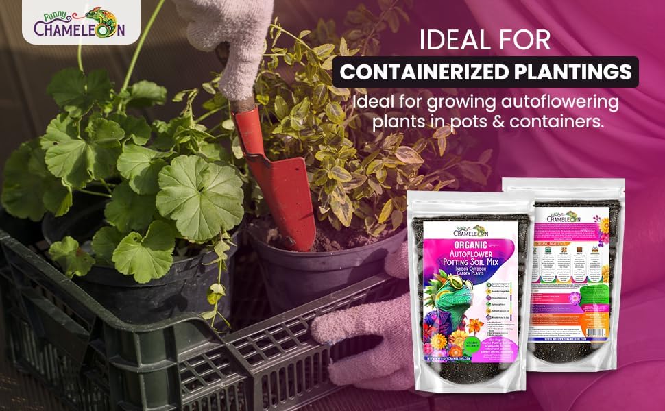 Miniatura 7 de Funny Chameleon - Mezcla orgánica de tierra para macetas autofloreciente, perfil de nutrientes equilibrado, textura ligera y aireada, propiedades de