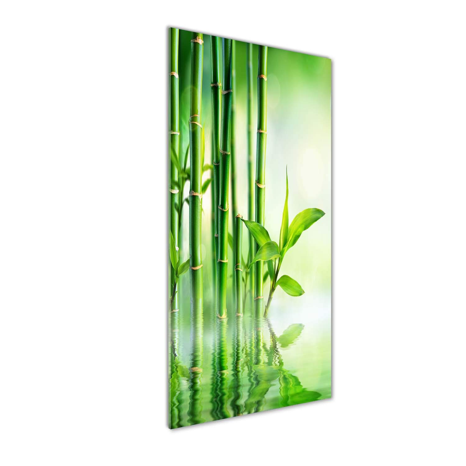Peinture sur verre trempé 50x125cm décor mural salon