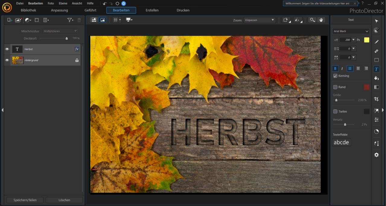 CyberLink PhotoDirector 12 | Ultra / WIN | PC | PC Aktivierungscode per Email