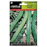  SEMILLAS PEPINO ALFICOZ