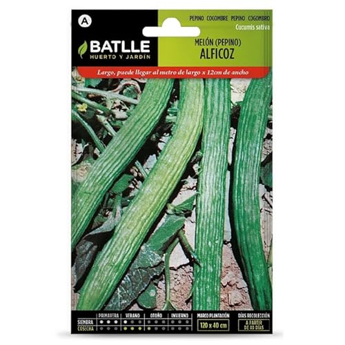 SEMILLAS PEPINO ALFICOZ