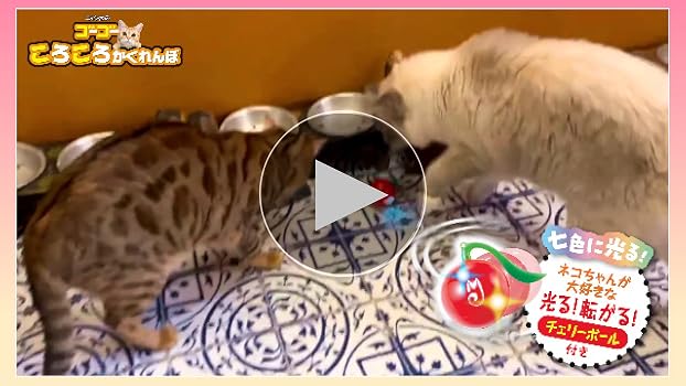 にゃんた Amazon | マルカン NYANTA CLUB にゃん太のゴーゴーころころ