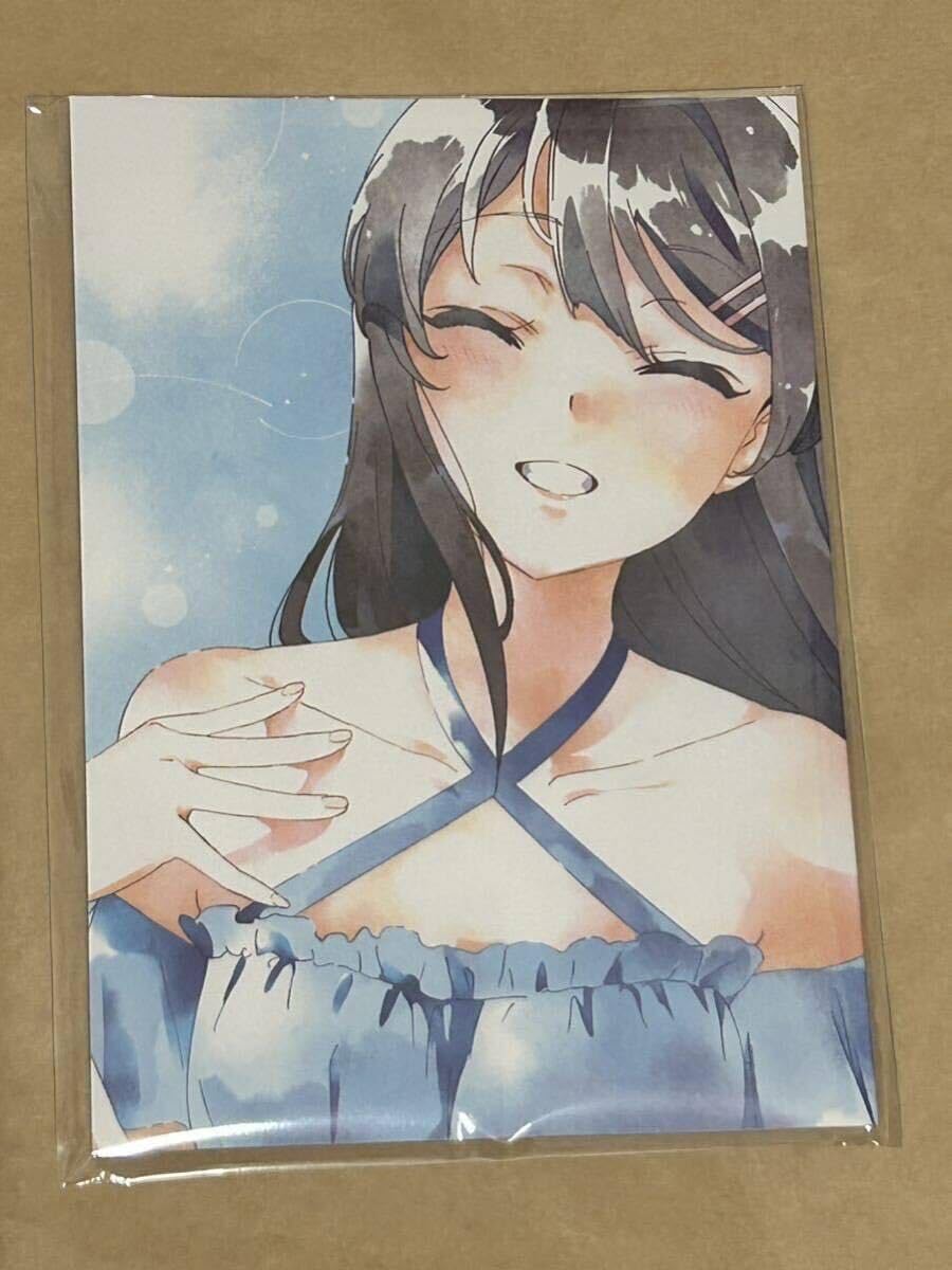 Amazon.co.jp: 青ブタ展 パンフレット 青春ブタ野郎はスクールメモリー