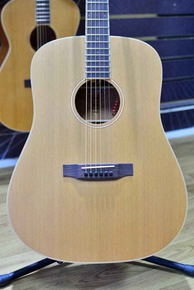 Auden Neo Colton Dreadnought Electro Acoustic Guitar & Case