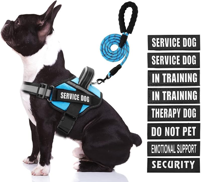 Peitoral Vest para Cães Animire com Faixas Refletivas, Guia e 10 Adesivos – Médio, Azul-claro