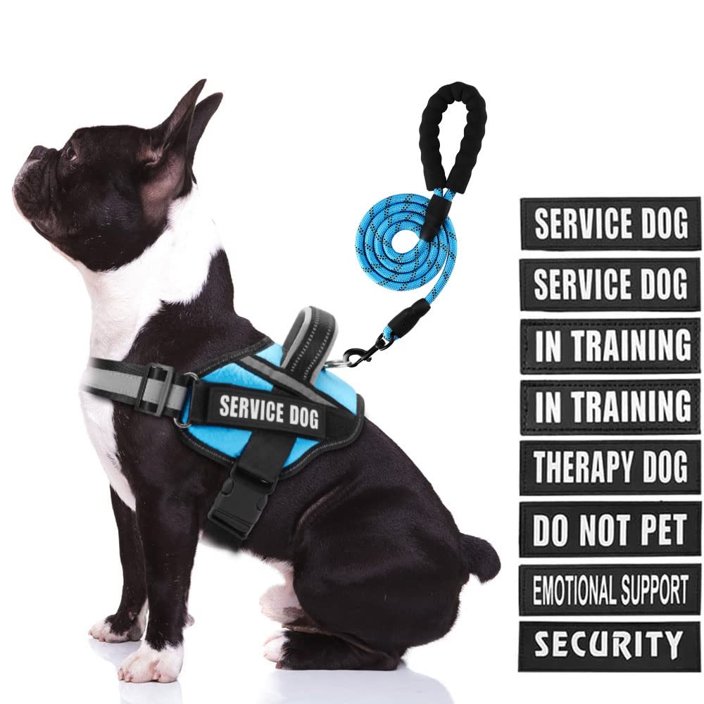 Service Dog Vest Harness and Leash Set, Animire in Training Dog Harness with 8 Dog Patches, Reflective Dog Leash with Soft Padded Handle for Small, Medium, Large, and Extra-Large Dogs (Light Blue, M)