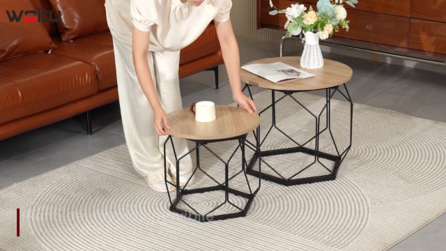 Tavolino Da Salotto Rotondo WOLTU - 2 Ripiani, Legno Vintage E Nero