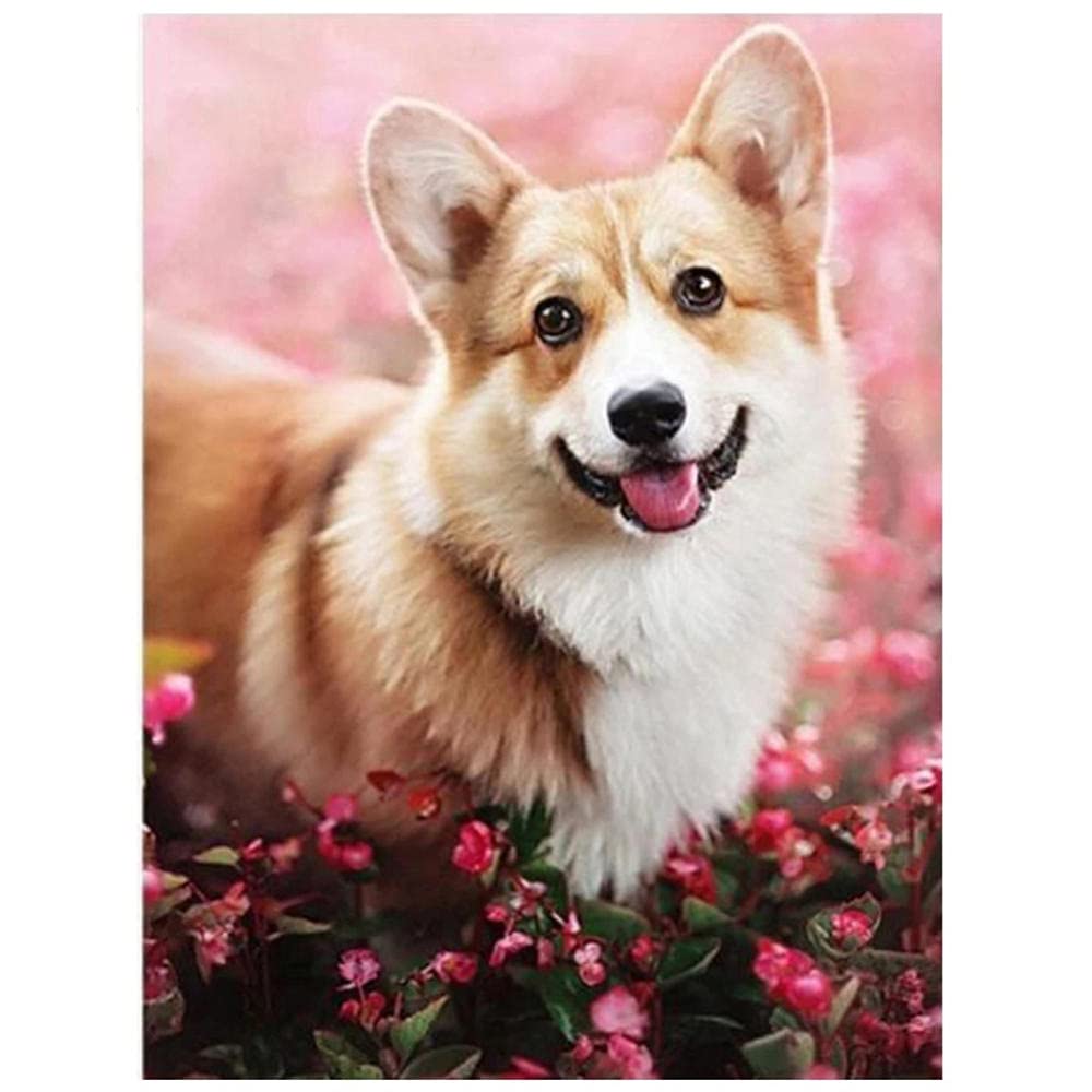 Diamentowe zestawy artystyczne, szczeniak, walijski Corgi, zestaw do malowania diamentami dla dorosłych, pełne diamenty, haftowanie, kryształ, ścieg krzyżykowy, sztuka, płótno, obrazy do domu, dekoracja ścienna (95 x 130 cm)